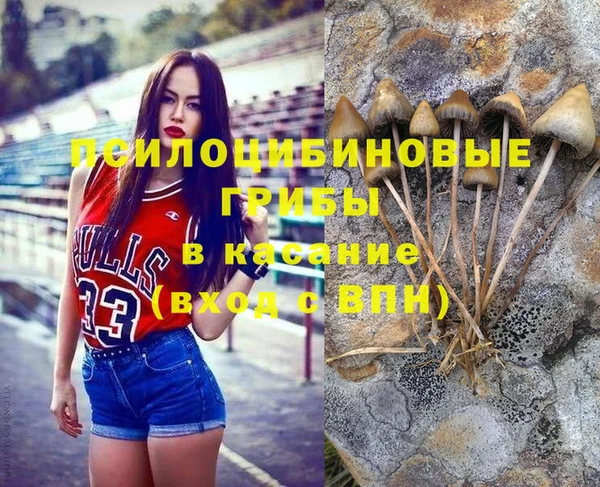 ешки Балахна